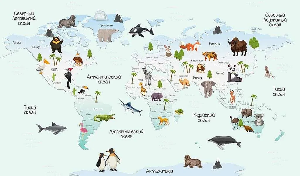 Фотообои в интерьере карта мира для детей  12-1152 фото