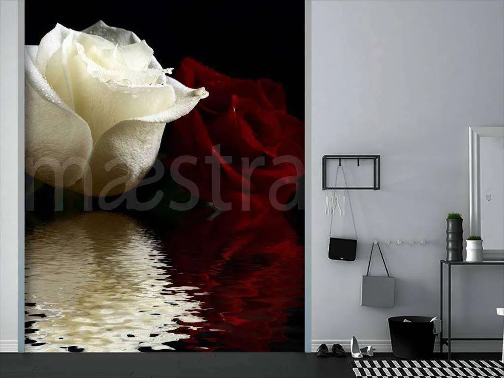 Фотообои Белая роза на темном фоне  10-317