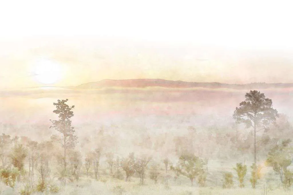 Фотообои в интерьере рассвет в поле  14-377 фото