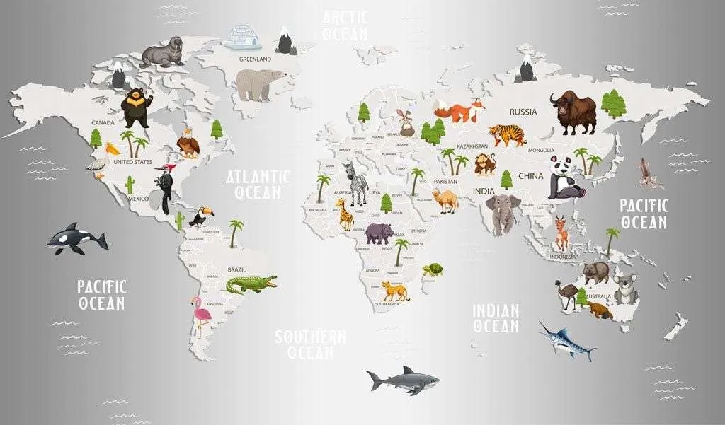 Фотообои в интерьере карта мира зеркальная  12-785 фото