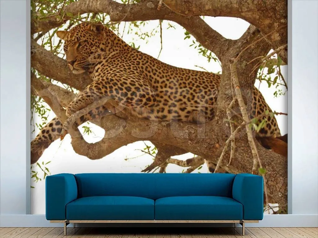 Фотообои На охоте  3-075