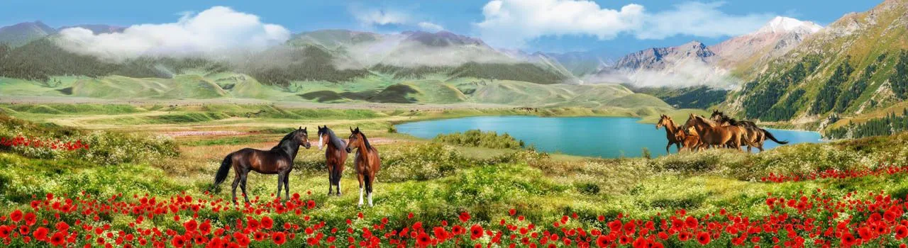 Фотообои в интерьере кони на воле  19-0047 фото