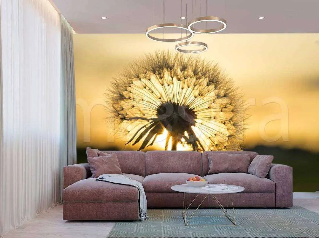 Фотообои Одуванчик на фоне заката  10-062