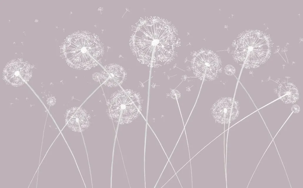 Фотообои в интерьере одуванчики на розовом фоне  14-527 фото