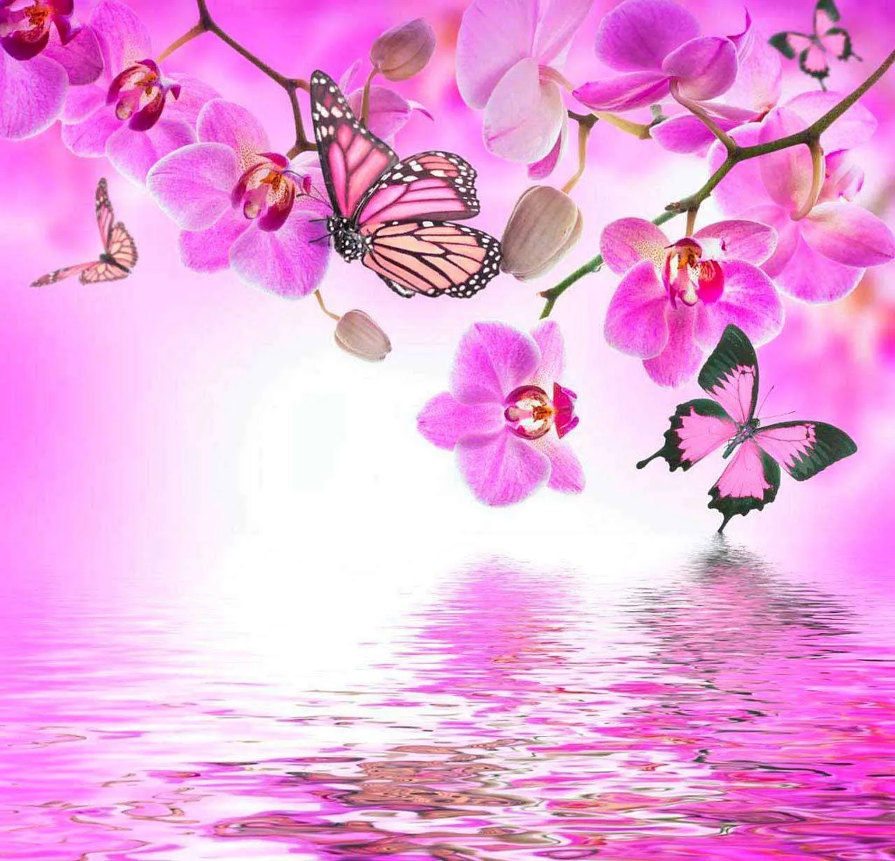 Фотообои в интерьере фиолетовая орхидея над водой и бабочки  10-218 фото