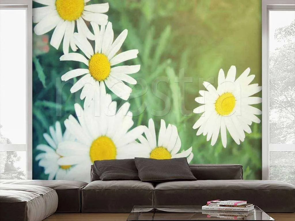 Фотообои Летняя ромашка  10-330