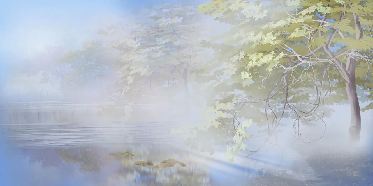 Фотообои в интерьере дерево окутанное туманом  13-432 фото