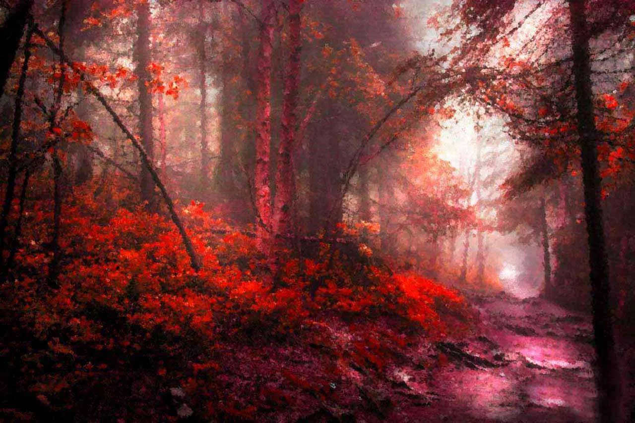 Фотообои в интерьере лес ночью  6-098 фото