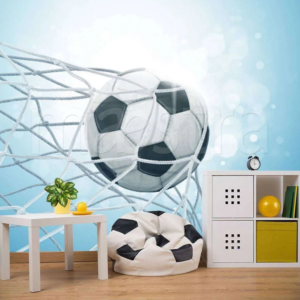 Фотообои Мяч в сетке на солнце  12-525