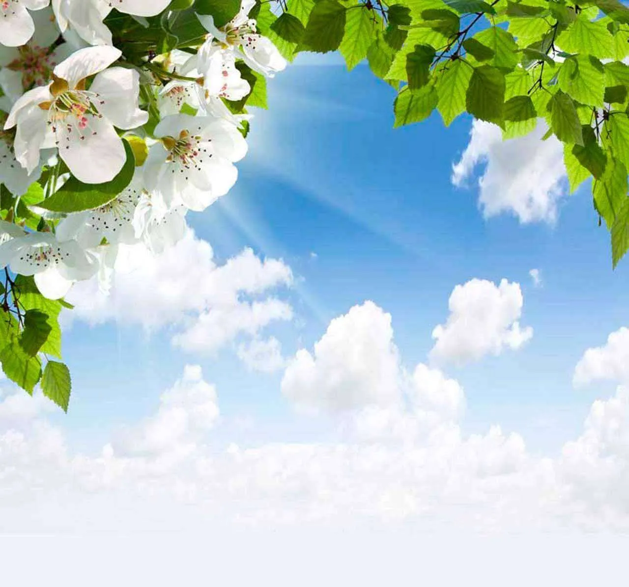 Фотообои в интерьере арка вишни  10-098 фото