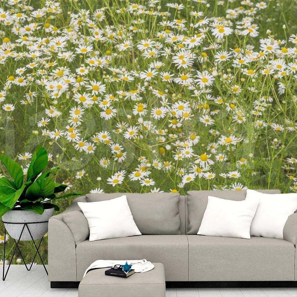 Фотообои Дикая ромашка  10-341