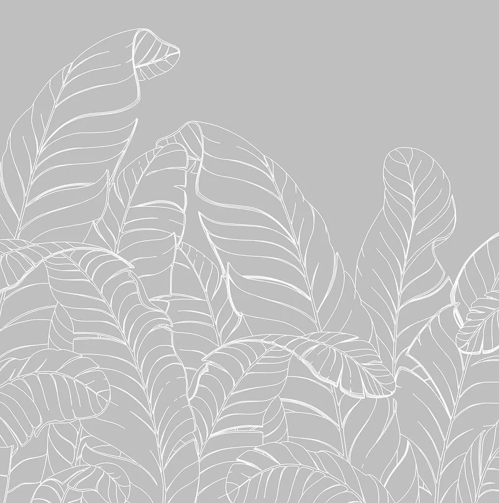 Фотообои в интерьере листья пальмы в серых тонах  14-478 фото