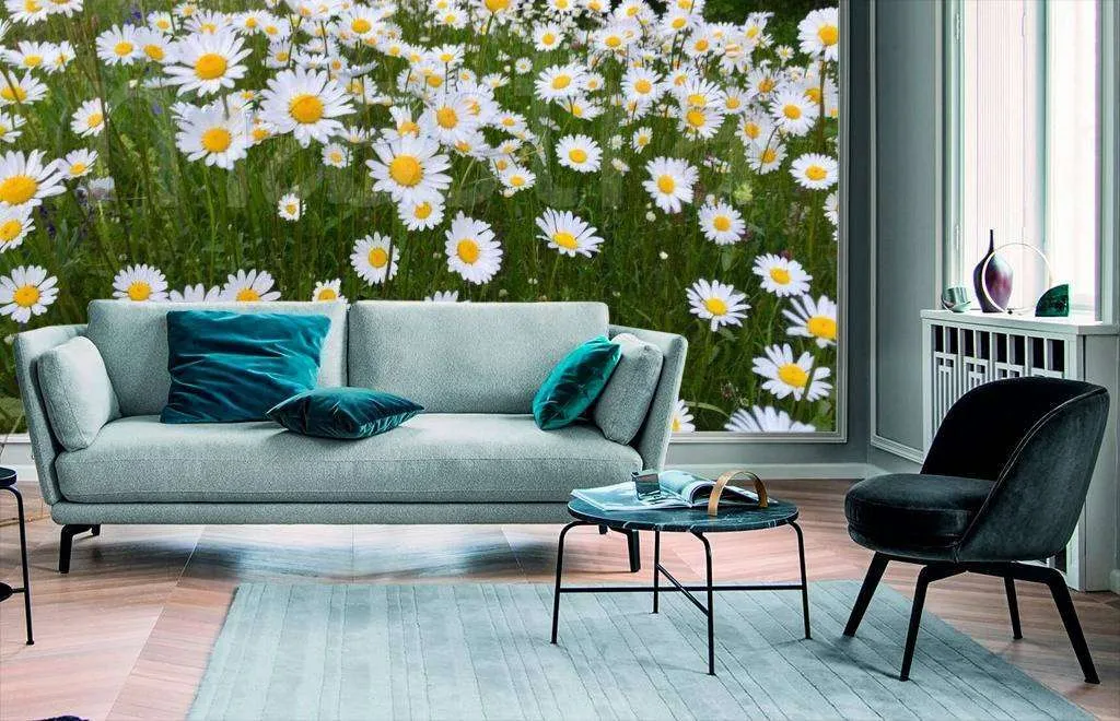 Фотообои Лекарственные ромашки  10-331