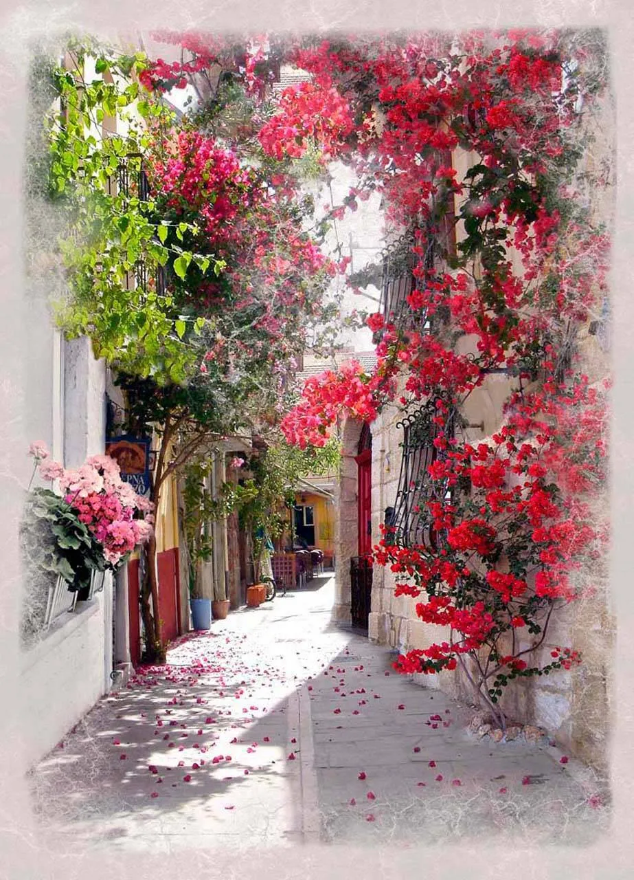 Фотообои в интерьере узкая улочка  3-067 фото