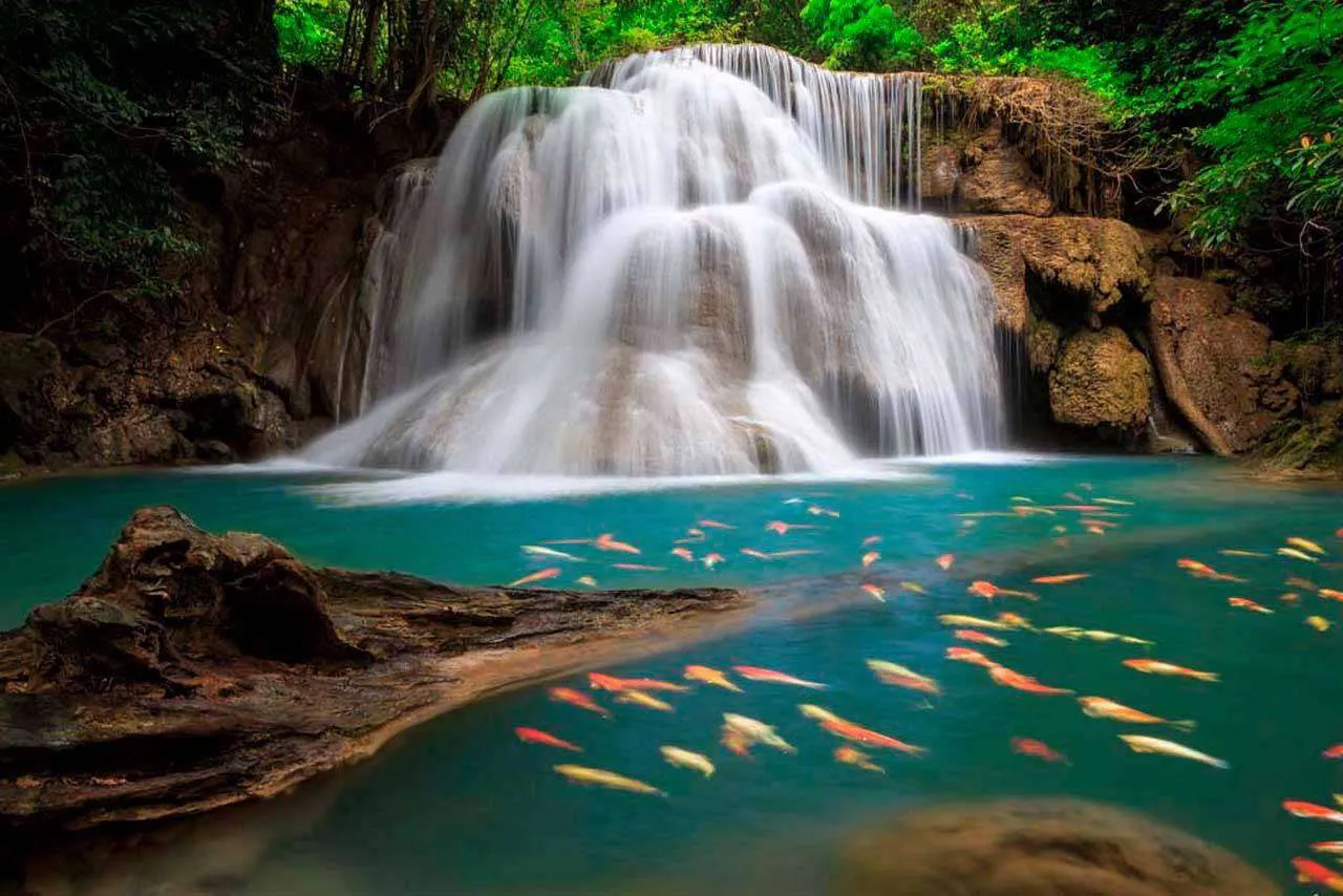 Фотообои в интерьере изумрудный водопад  4-376 фото