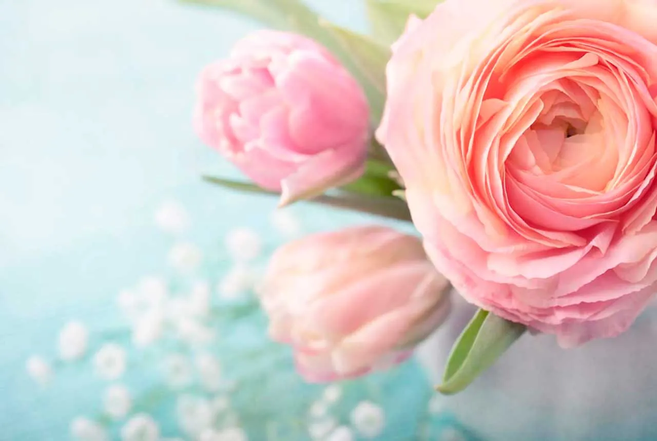 Фотообои в интерьере розовое на голубом  9-100 фото