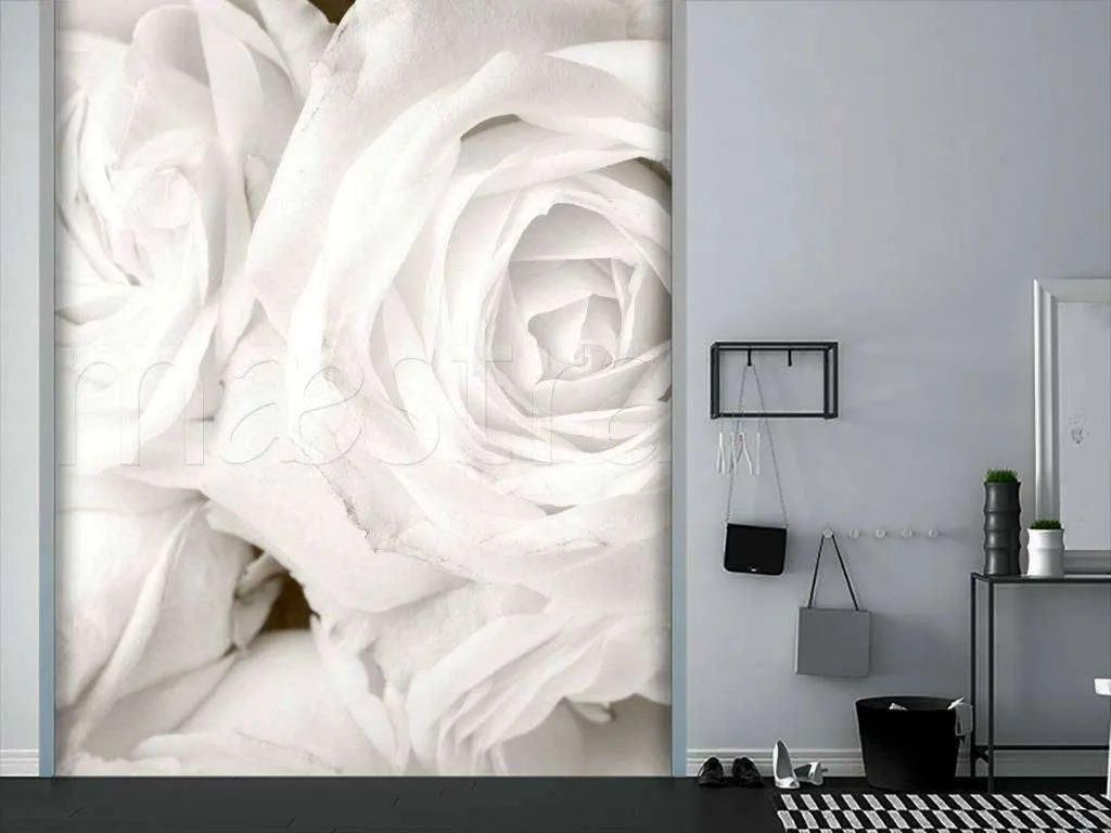 Фотообои Белые розы красивые  10-224