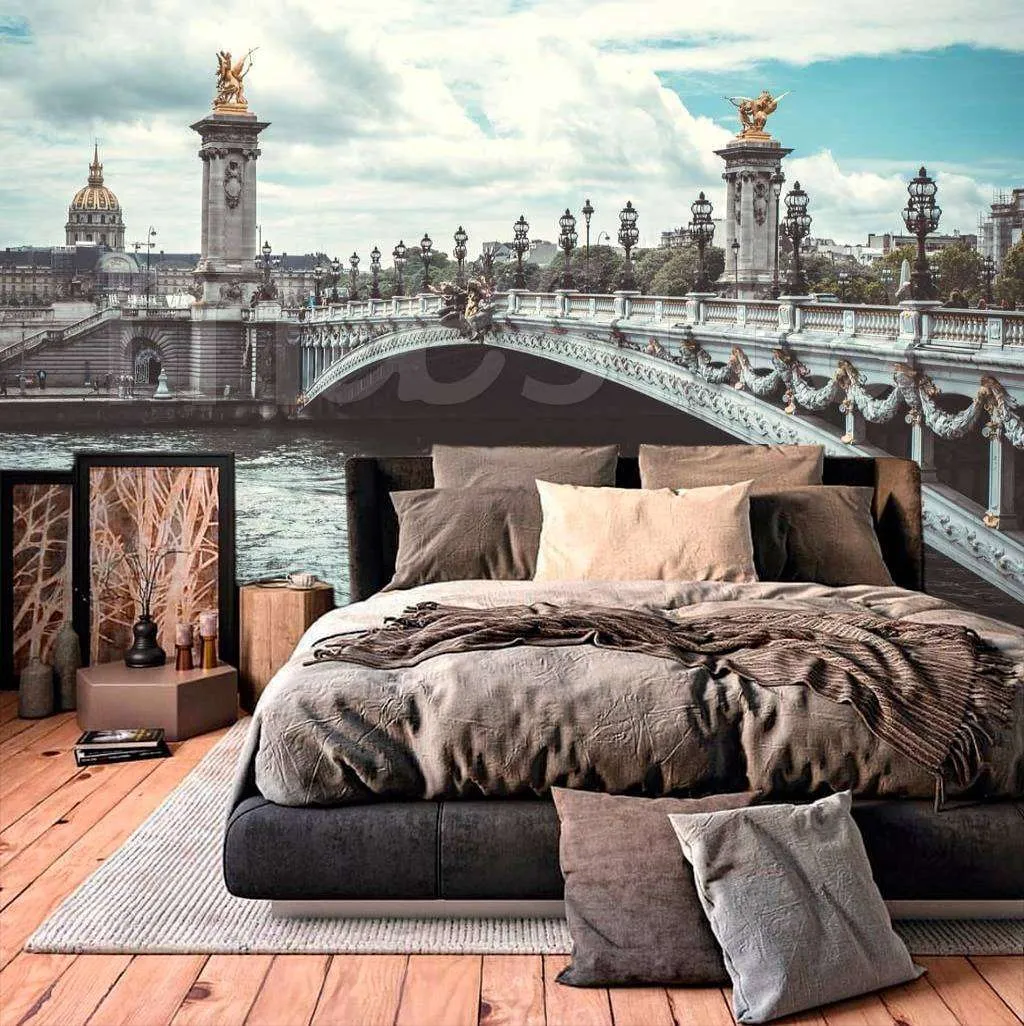 Фотообои в интерьере мост в париже  9-735 фото