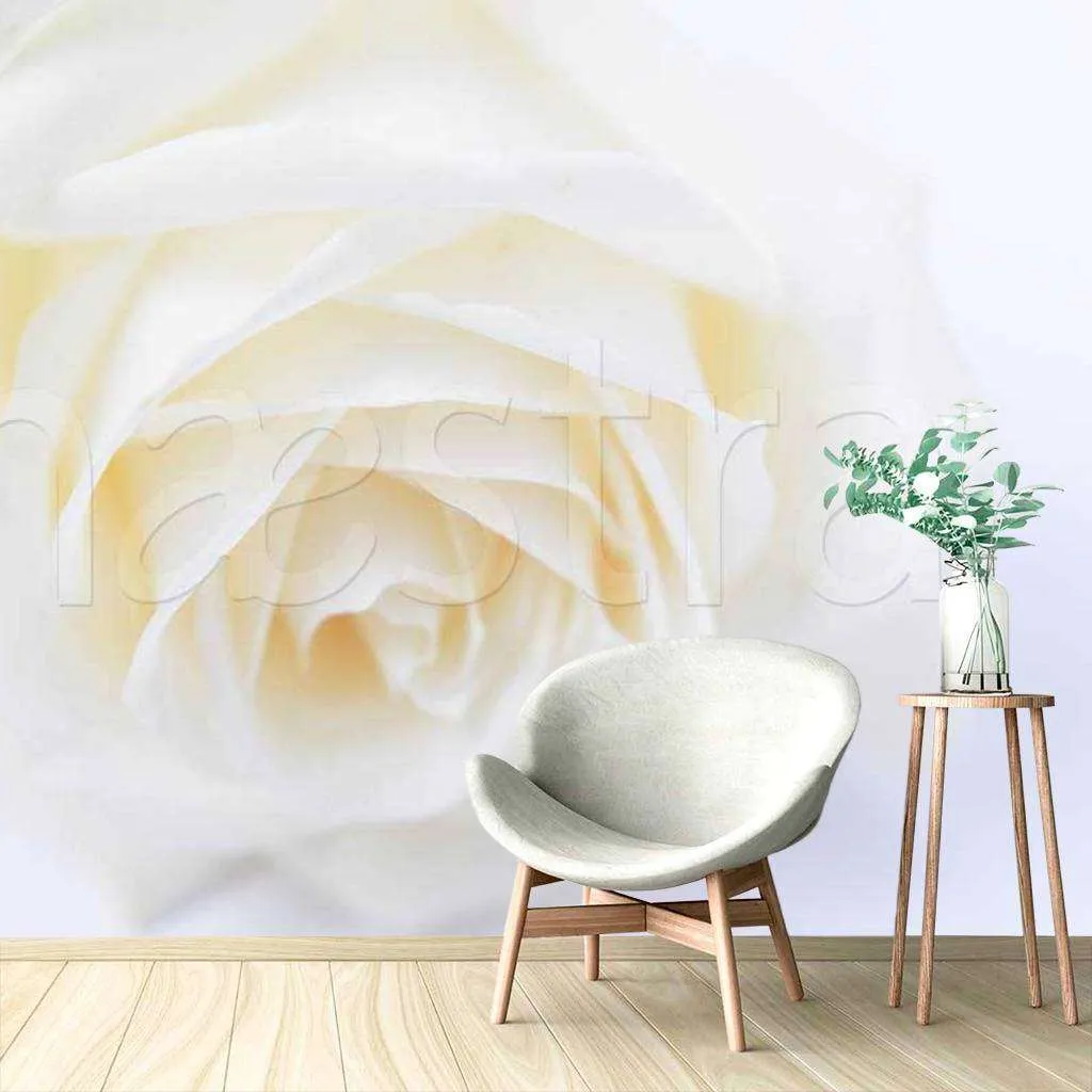 Фотообои Белая роза изящная  10-226