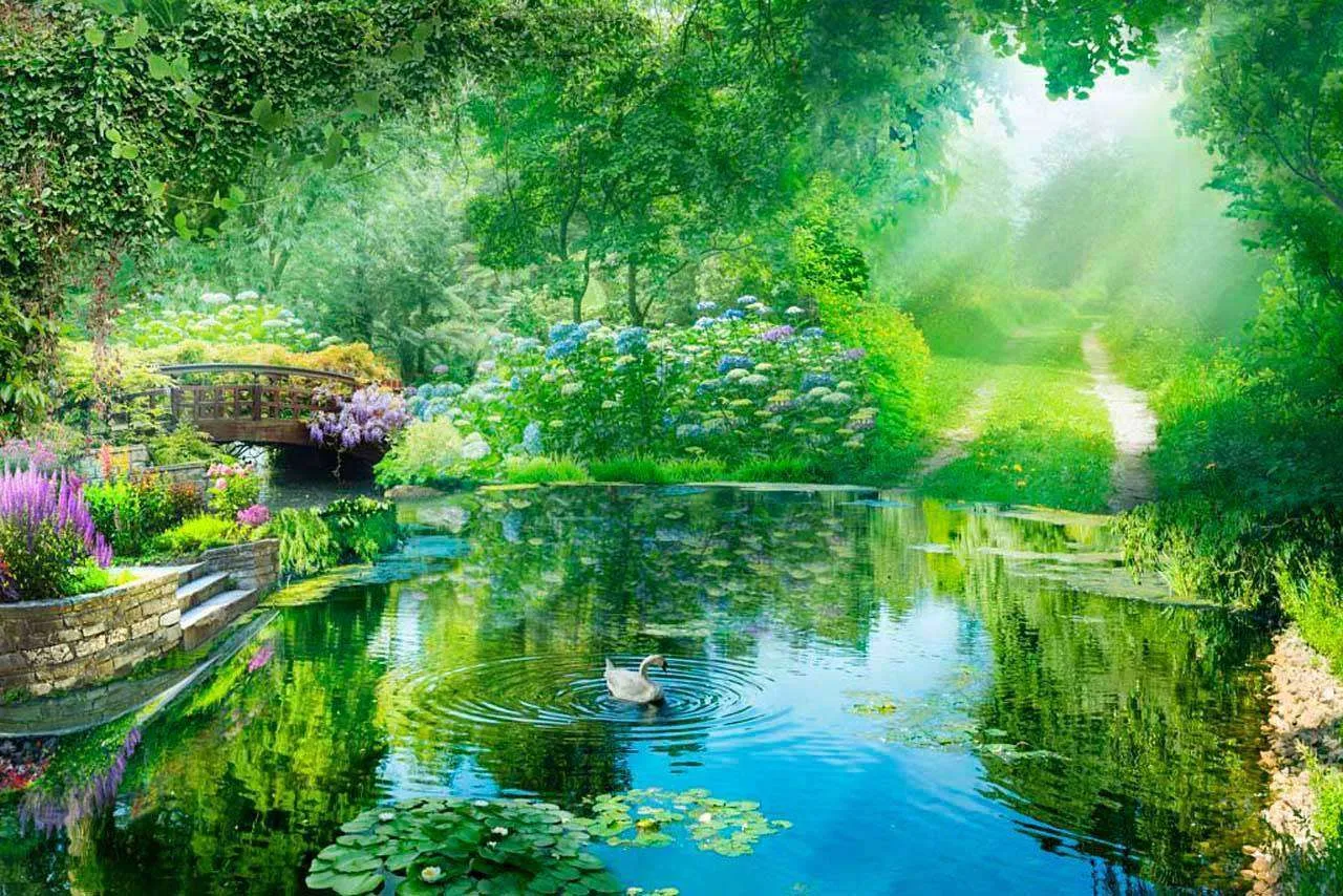 Фотообои в интерьере озеро в лесу в утреннем тумане  7-311 фото