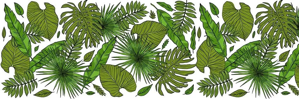 Фотообои в интерьере тропические листья фон  14-776 фото