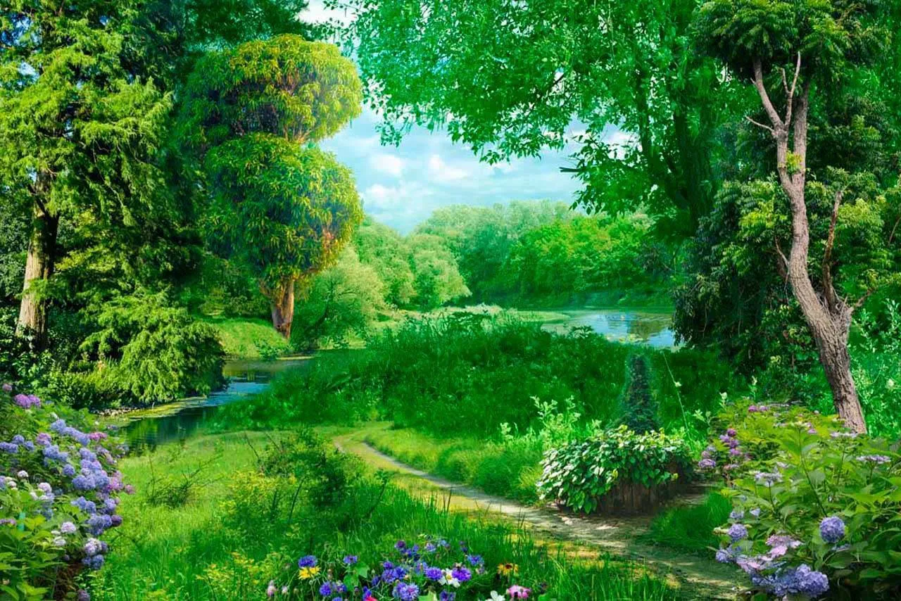 Фотообои в интерьере лиственный лес с цветами  7-289 фото