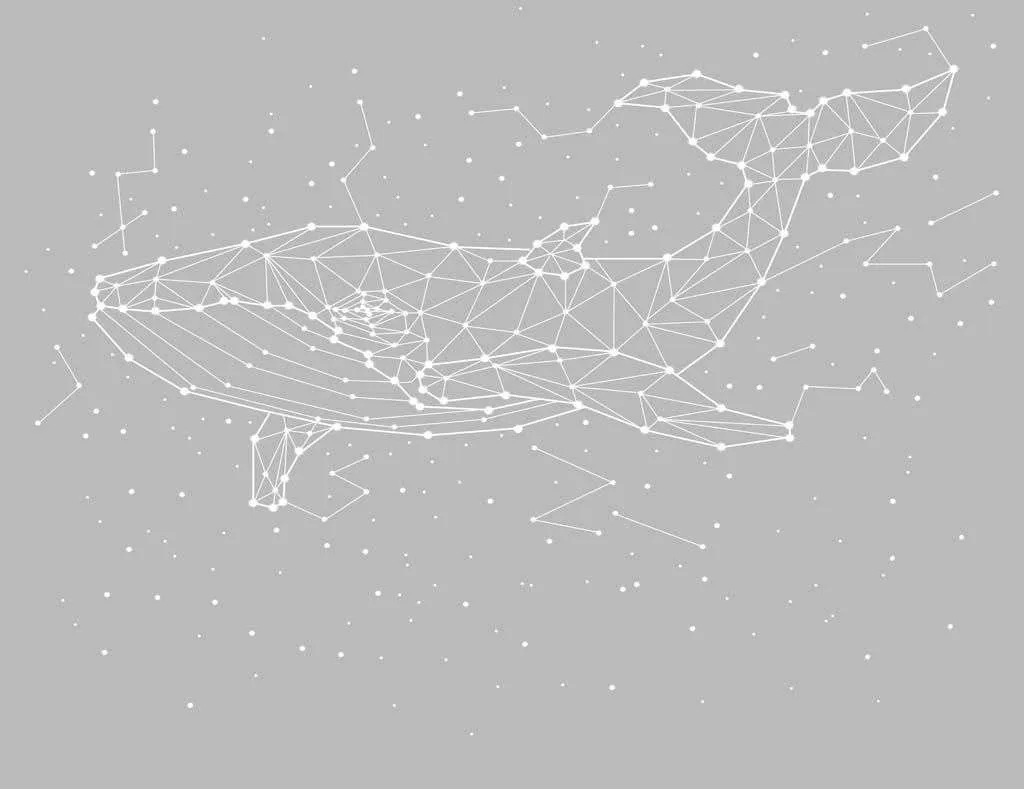 Фотообои в интерьере созвездие кит  14-301 фото