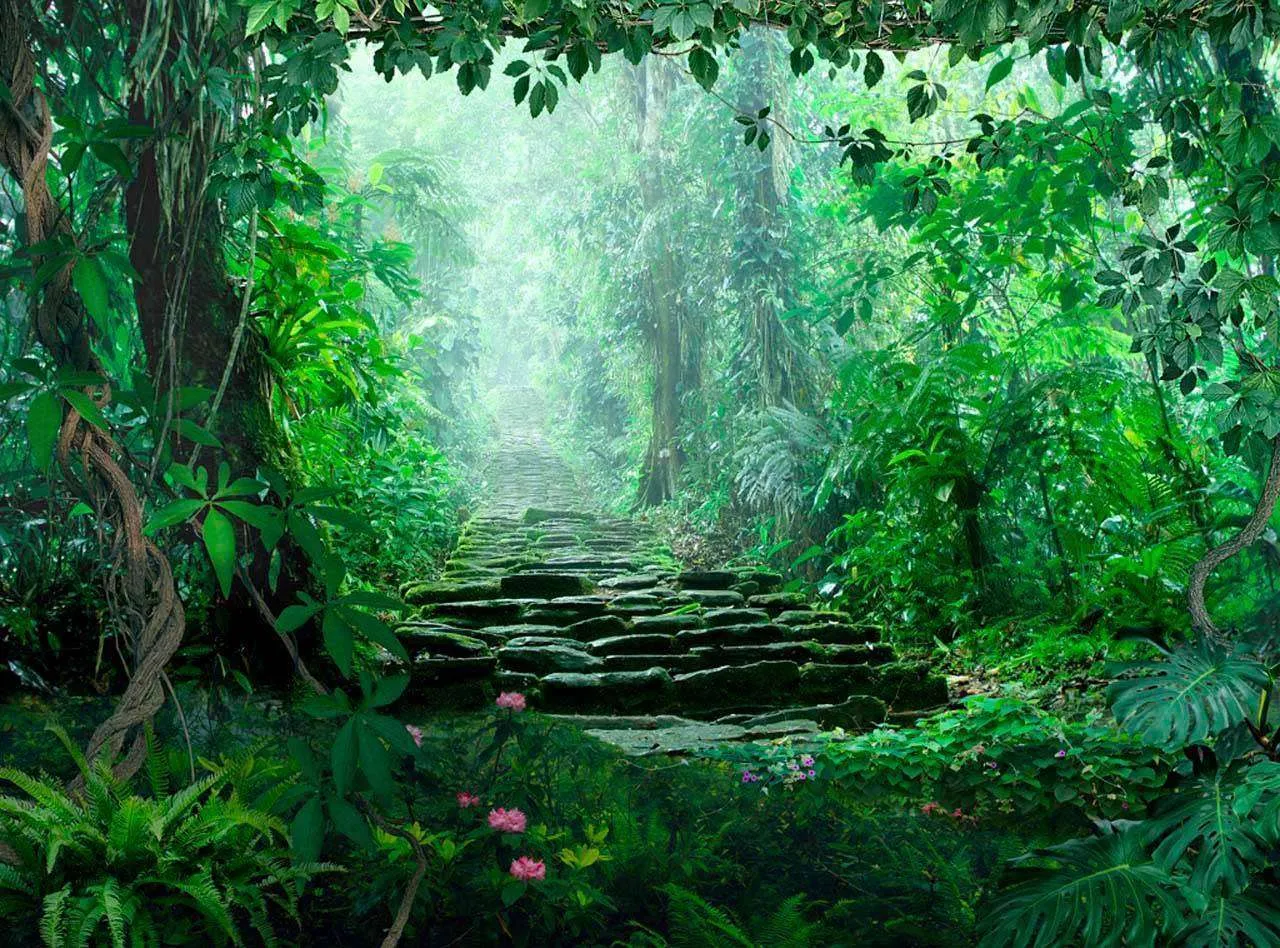 Фотообои в интерьере лес 3д  7-986 фото