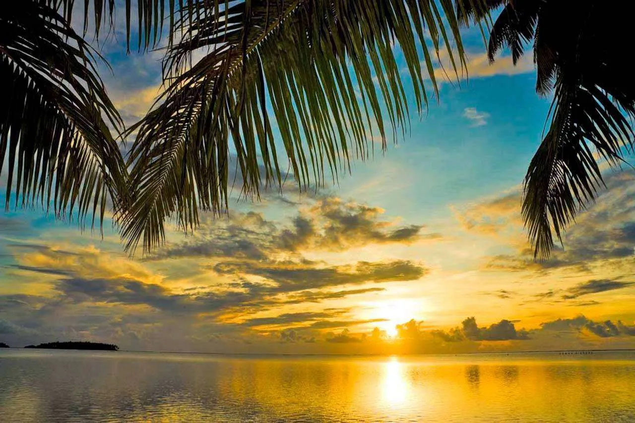 Фотообои в интерьере пальмы с видом на море  3-080 фото