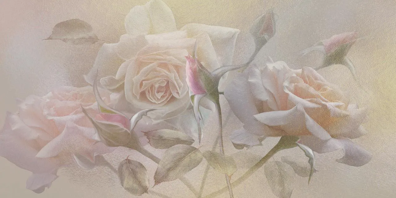 Фотообои в интерьере розы в тумане  13-429 фото