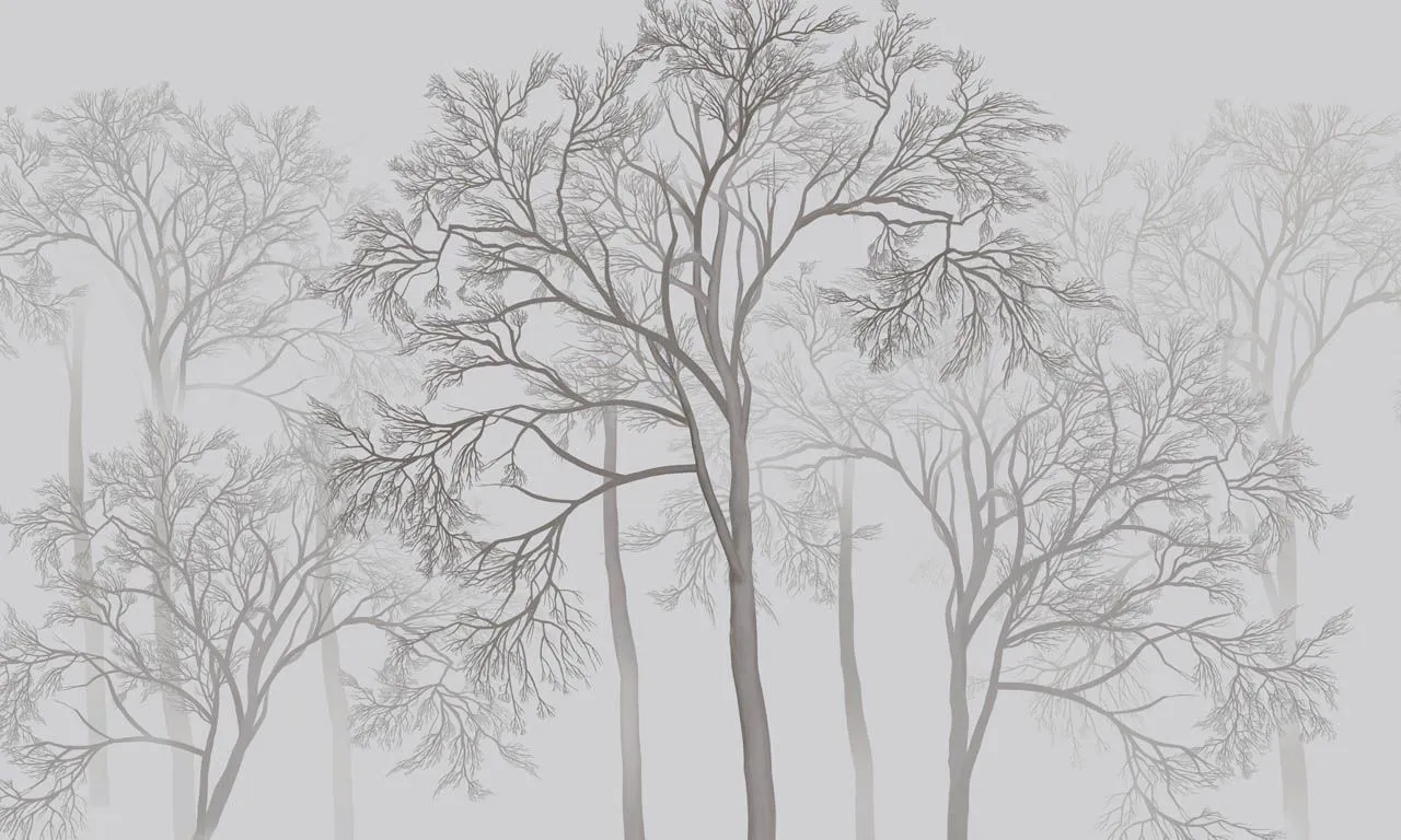 Фотообои в интерьере лес темный на светлом фоне  13-707 фото