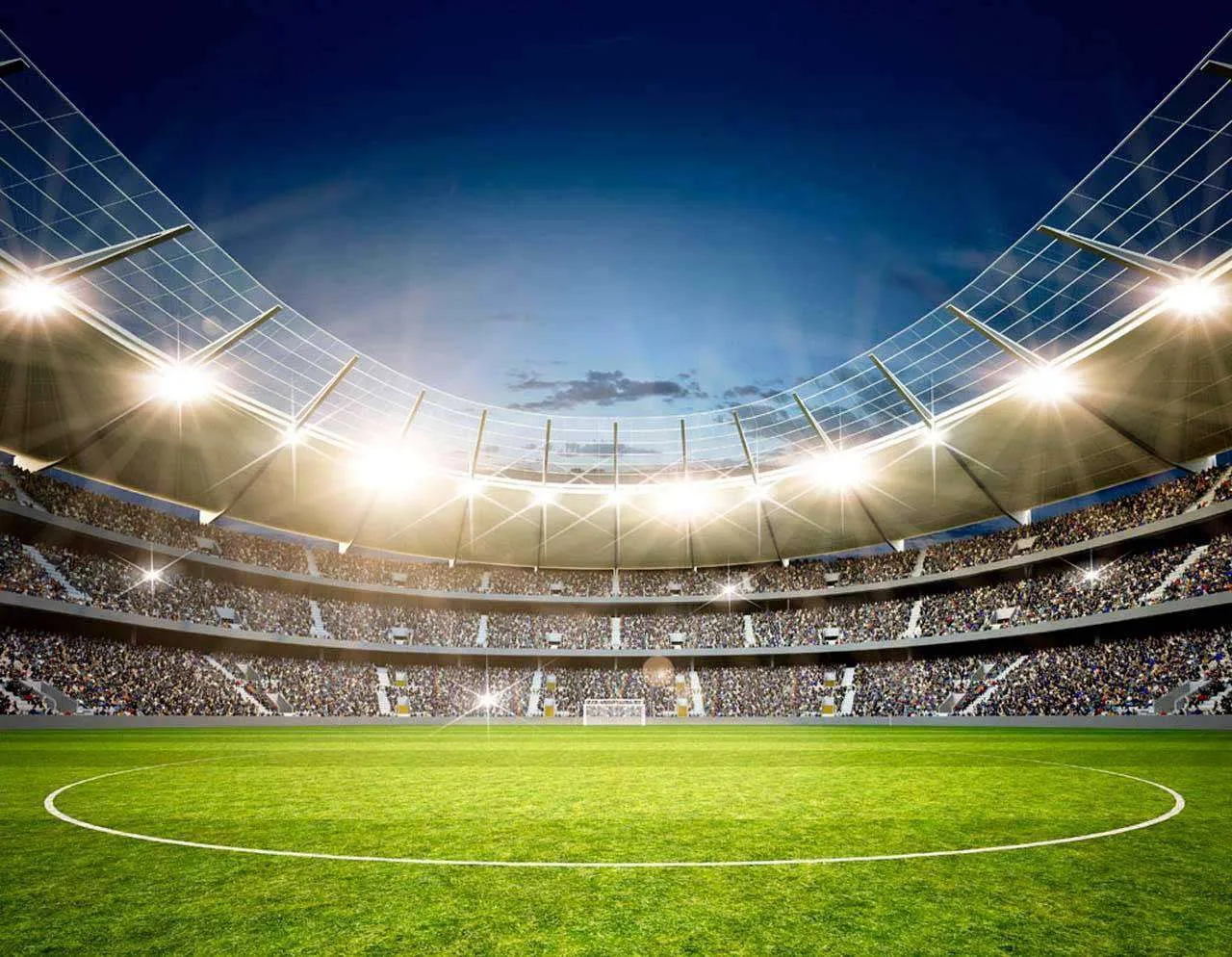 Фотообои в интерьере футбольное поле  12-549 фото