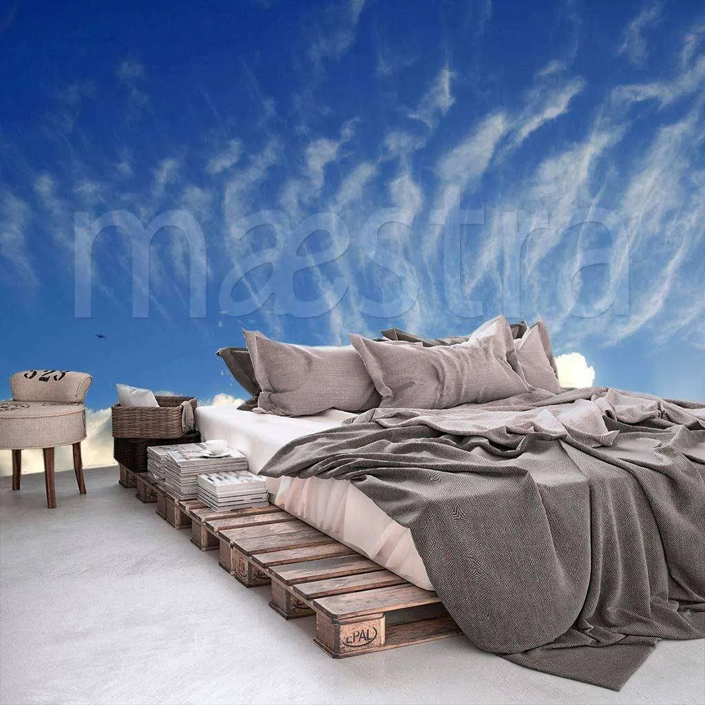 Фотообои Перистые облака  9-320