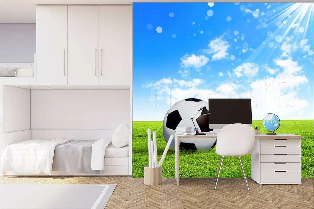 Фотообои в интерьере мяч под солнцем  12-535 фото