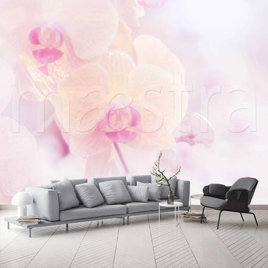 Фотообои Ветка орхидеи светлая, абстракция  10-151