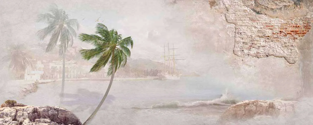 Фотообои в интерьере пальма на одиноком пляже  7-681 фото