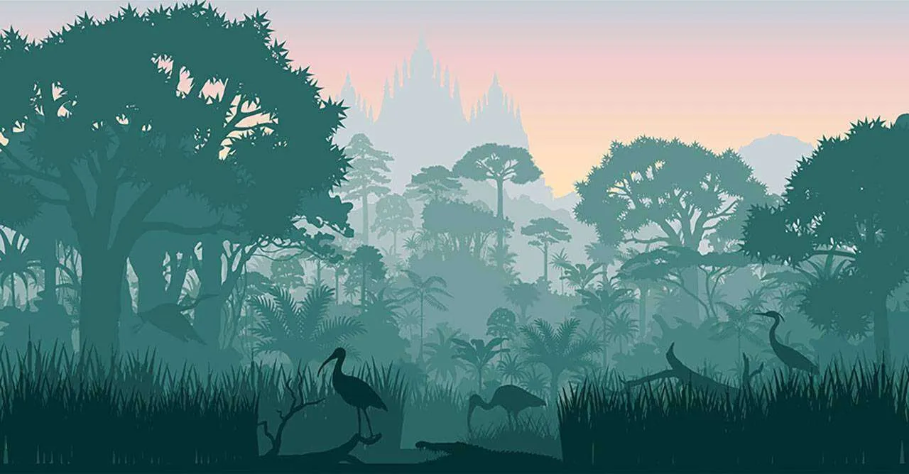 Фотообои в интерьере африка в дымке  12-488 фото