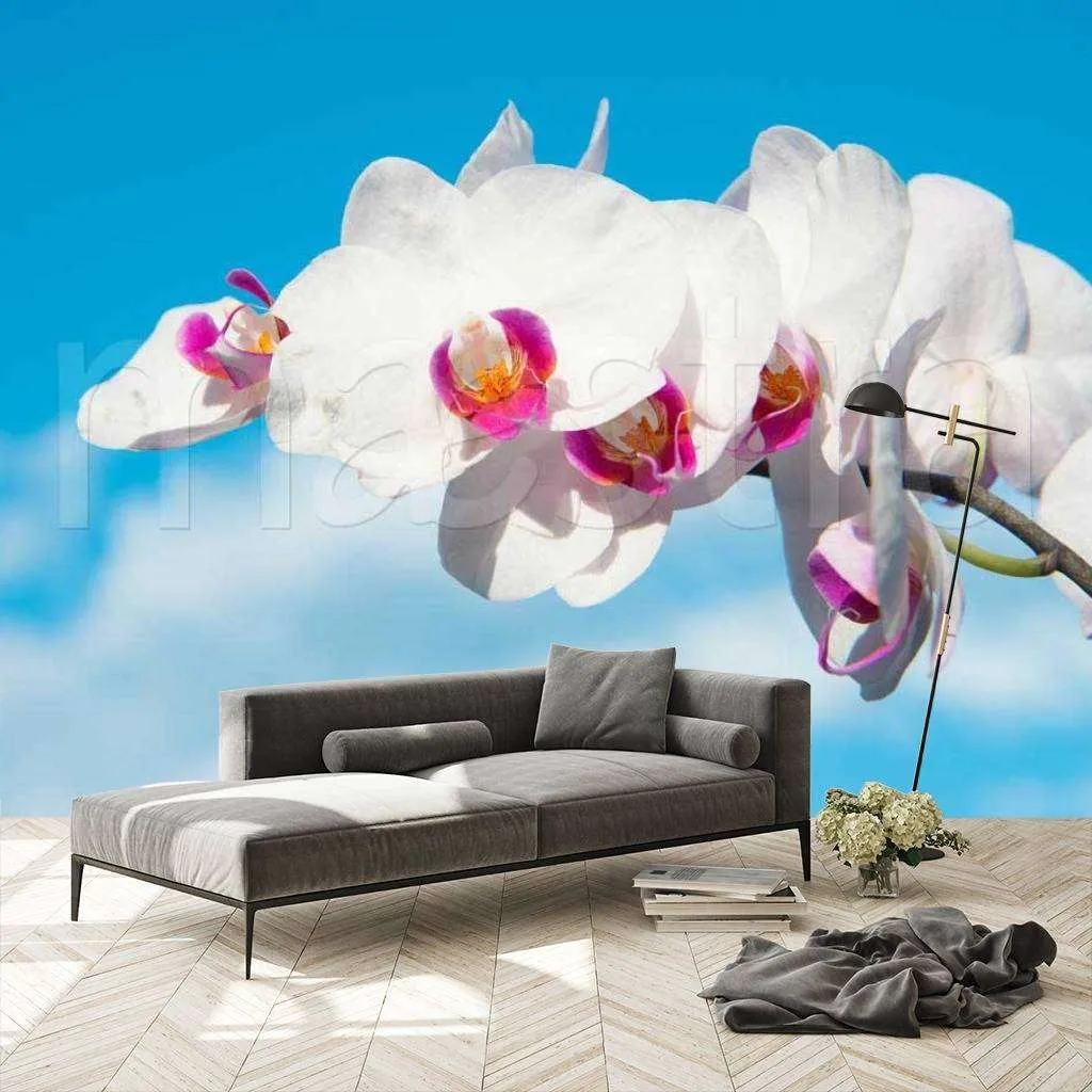 Фотообои в интерьере белая орхидея на фоне неба  10-180 фото