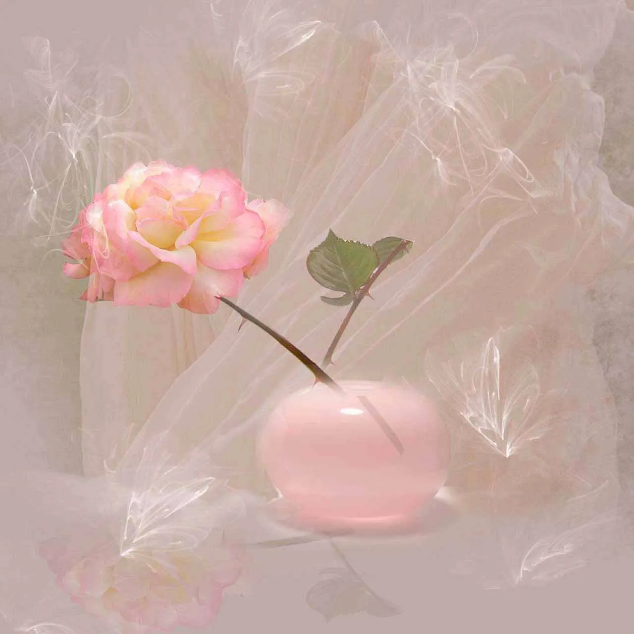 Фотообои в интерьере нежная роза в вазе  2-112 фото