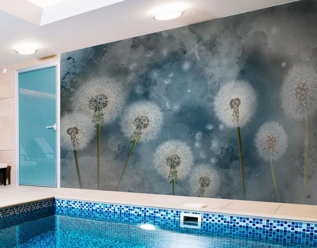 Фотообои в интерьере одуванчики на синем фоне  14-476 фото