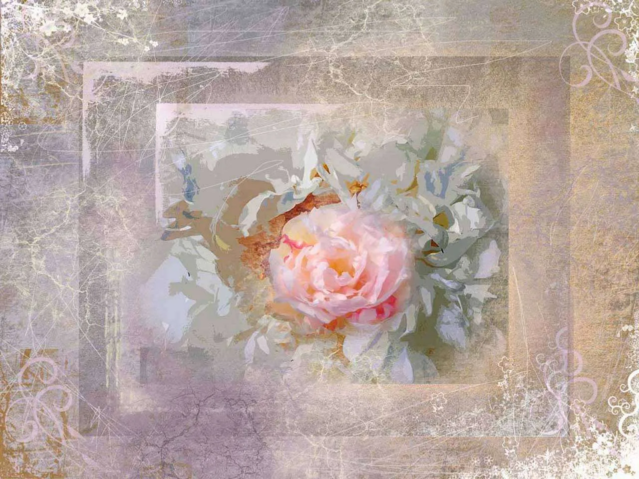 Фотообои в интерьере роза на сером фоне абстракция  2-114 фото