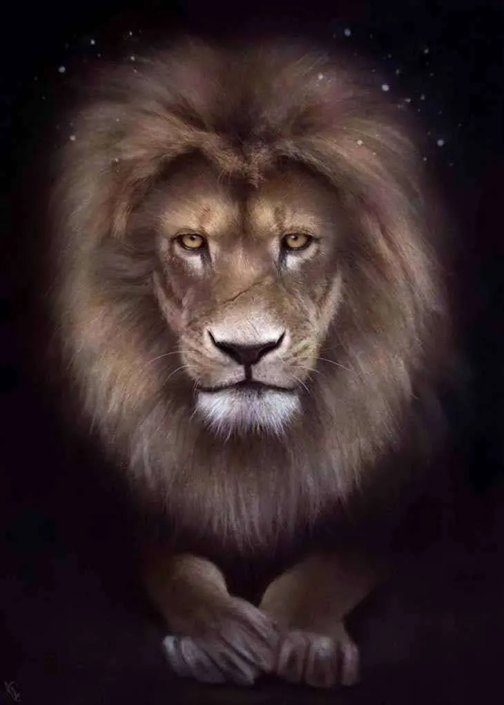 Фотообои в интерьере мудрый лев  17-4403 фото