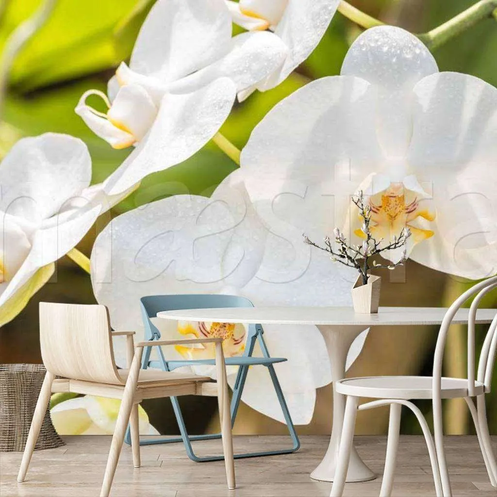 Фотообои в интерьере красивая веточка орхидеи  10-186 фото