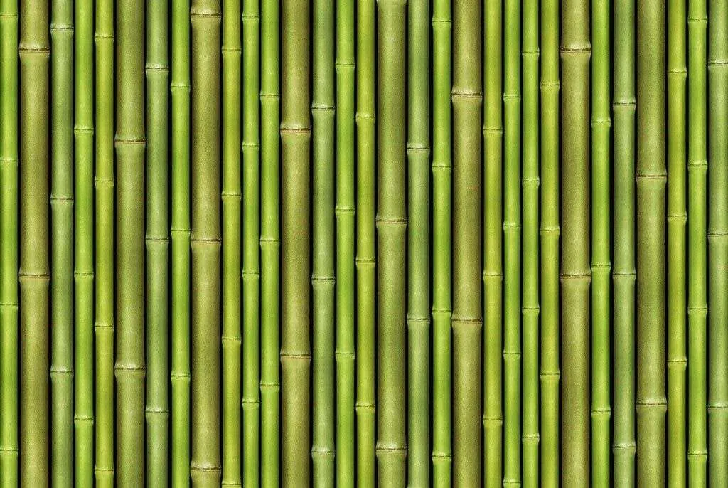 Фотообои в интерьере бамбуковые стволы  9-1761 фото