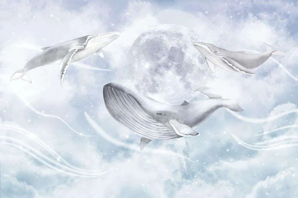 Фотообои в интерьере небесные киты  12-1561 фото