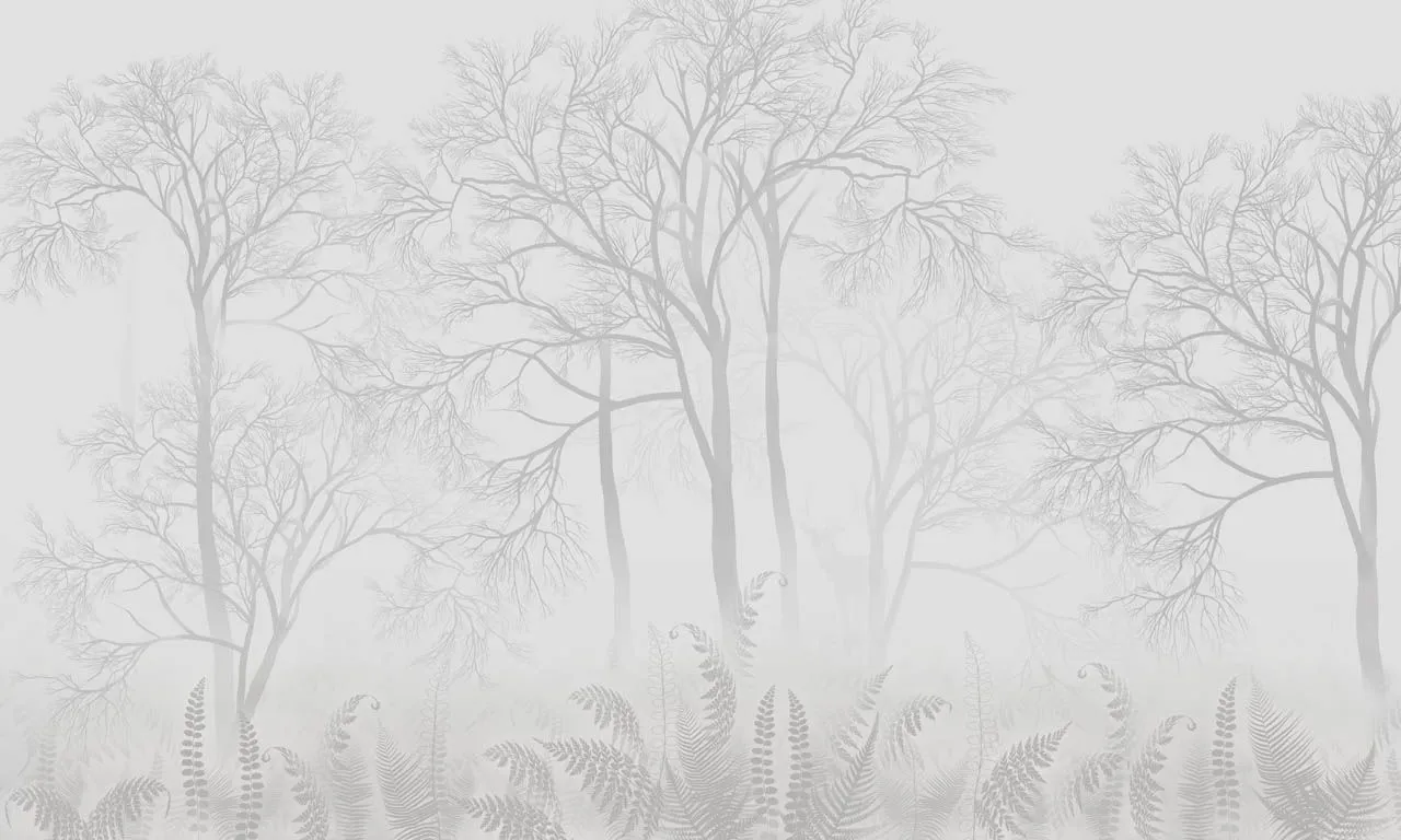 Фотообои в интерьере лес прозрачный  13-706 фото