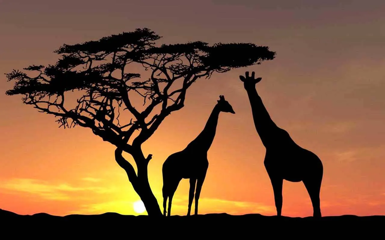 Фотообои в интерьере сафари силуэты  2-154 фото