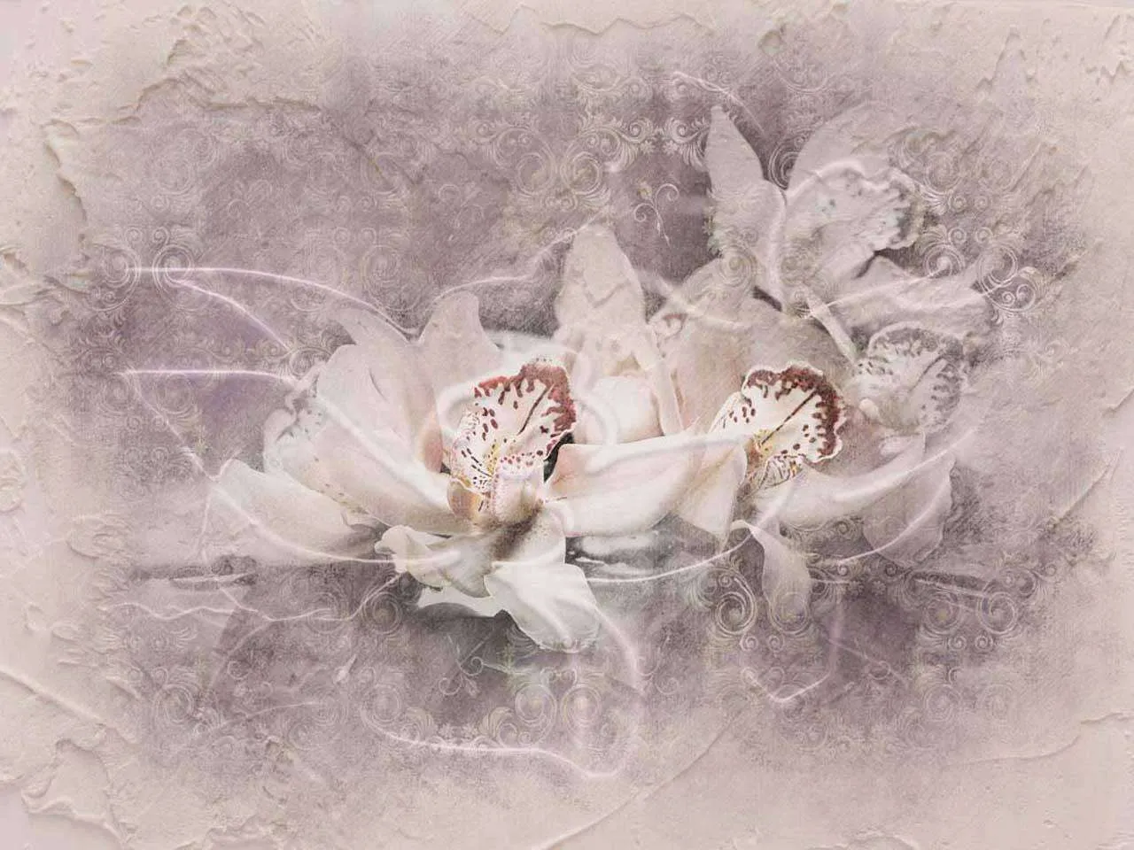 Фотообои в интерьере светлые орхидеи 3д  7-680 фото