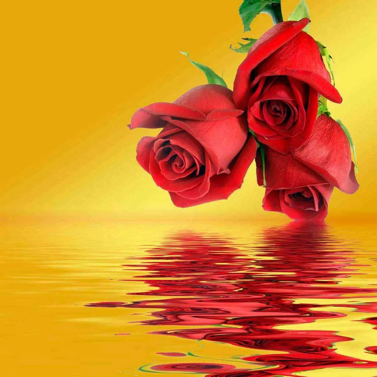 Фотообои в интерьере букет красных роз над водой  10-272 фото