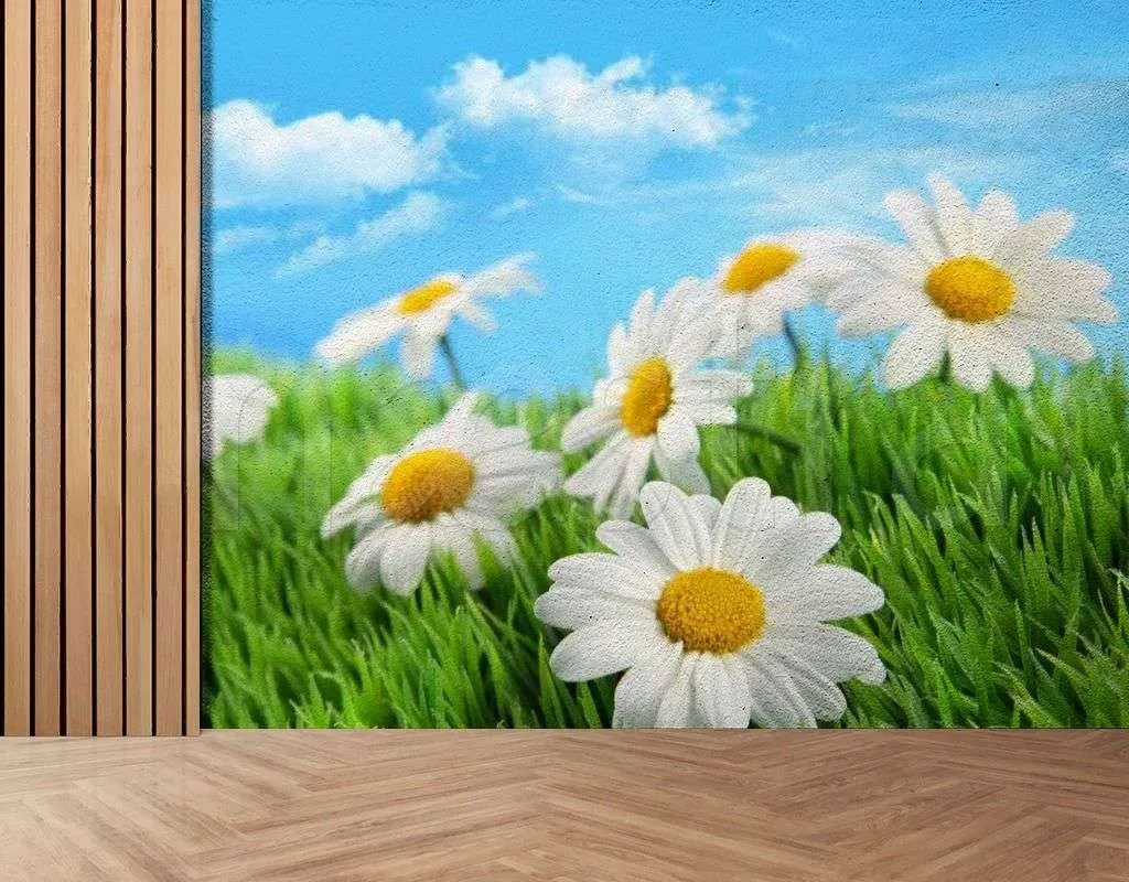 Фотообои в интерьере скромные ромашки  10-338 фото